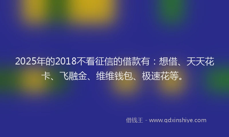 2025年的2018不看征信的借款有：想借、天天花卡、飞融金、维维钱包、极速花等。