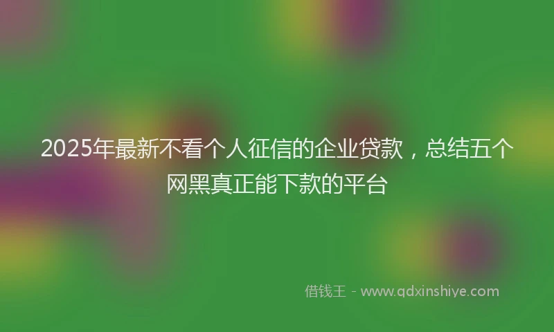 2025年最新不看个人征信的企业贷款，总结五个网黑真正能下款的平台