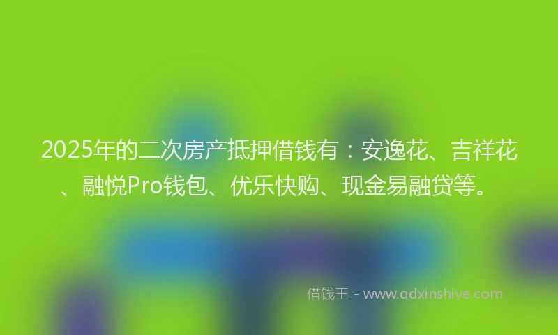 2025年的二次房产抵押借钱有：安逸花、吉祥花、融悦Pro钱包、优乐快购、现金易融贷等。