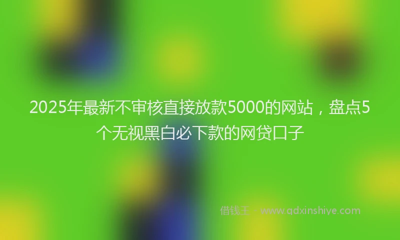 2025年最新不审核直接放款5000的网站，盘点5个无视黑白必下款的网贷口子