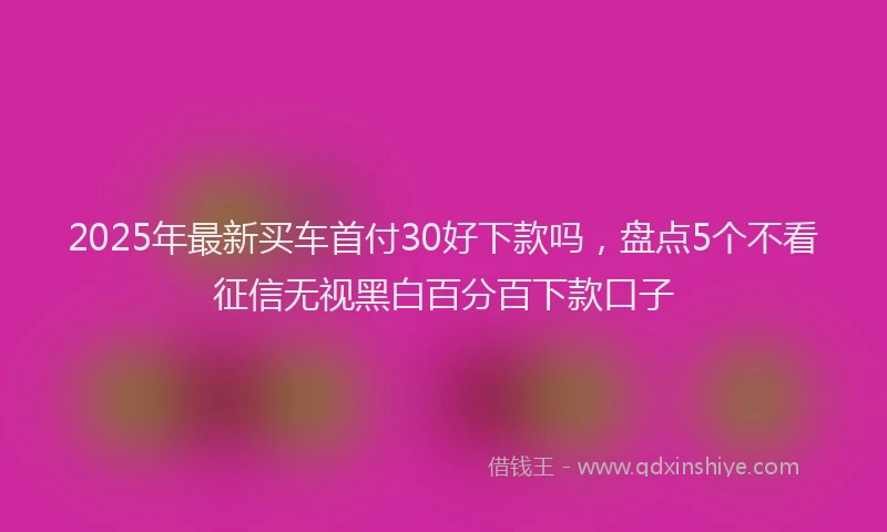 2025年最新买车首付30好下款吗，盘点5个不看征信无视黑白百分百下款口子