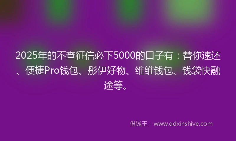 2025年的不查征信必下5000的口子有：替你速还、便捷Pro钱包、彤伊好物、维维钱包、钱袋快融途等。