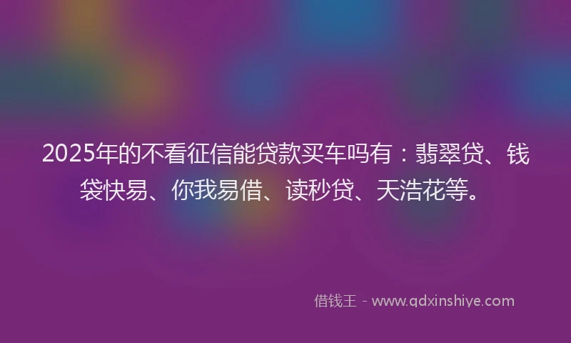 2025年的不看征信能贷款买车吗有：翡翠贷、钱袋快易、你我易借、读秒贷、天浩花等。
