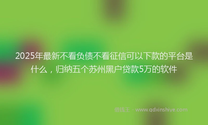 2025年最新不看负债不看征信可以下款的平台是什么，归纳五个苏州黑户贷款5万的软件