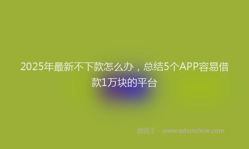 2025年最新不下款怎么办，总结5个APP容易借款1万块的平台