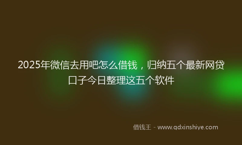 2025年微信去用吧怎么借钱，归纳五个最新网贷口子今日整理这五个软件