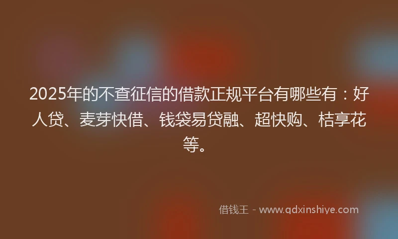 2025年的不查征信的借款正规平台有哪些有：好人贷、麦芽快借、钱袋易贷融、超快购、桔享花等。