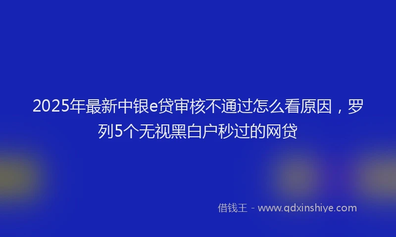 2025年最新中银e贷审核不通过怎么看原因，罗列5个无视黑白户秒过的网贷