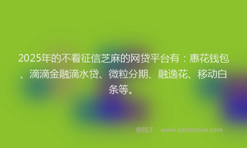 2025年的不看征信芝麻的网贷平台有：惠花钱包、滴滴金融滴水贷、微粒分期、融逸花、移动白条等。