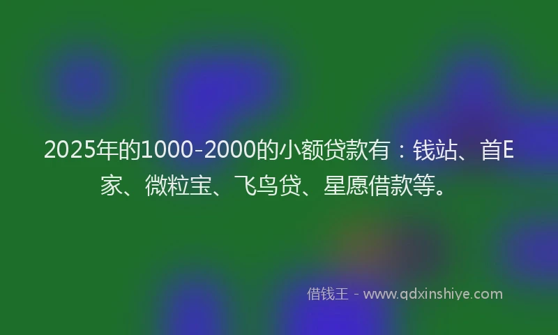 2025年的1000-2000的小额贷款有：钱站、首E家、微粒宝、飞鸟贷、星愿借款等。