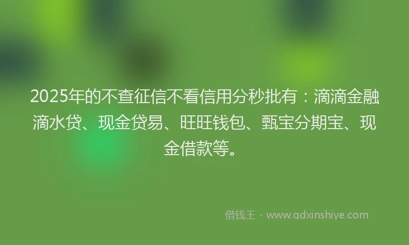 2025年的不查征信不看信用分秒批有：滴滴金融滴水贷、现金贷易、旺旺钱包、甄宝分期宝、现金借款等。