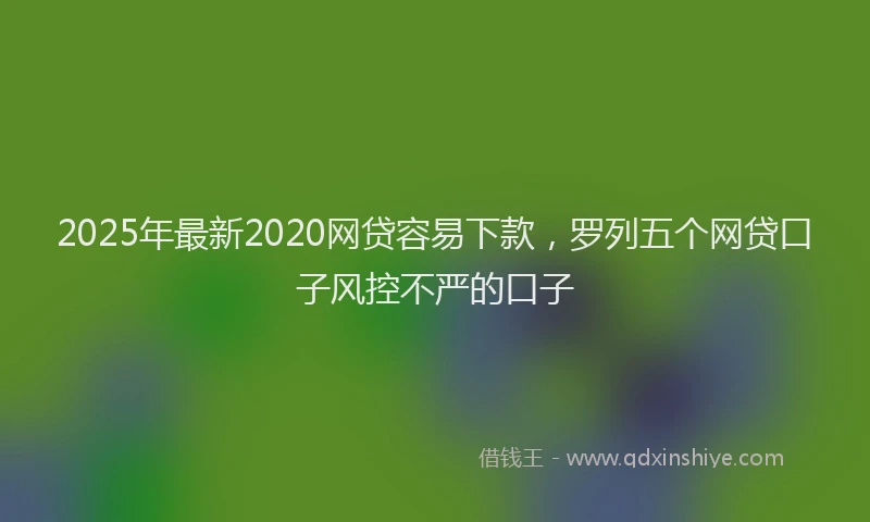 2025年最新2020网贷容易下款，罗列五个网贷口子风控不严的口子
