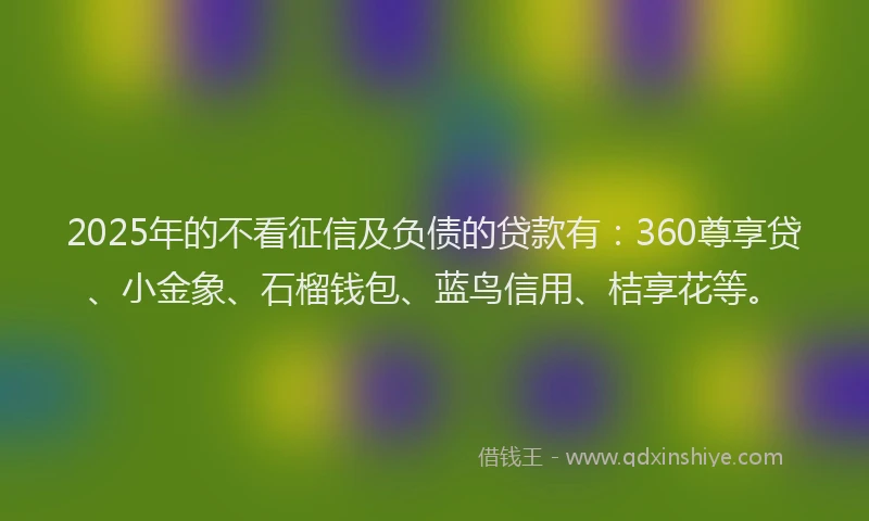 2025年的不看征信及负债的贷款有：360尊享贷、小金象、石榴钱包、蓝鸟信用、桔享花等。