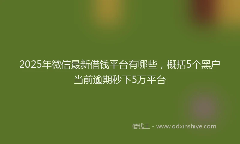 2025年微信最新借钱平台有哪些，概括5个黑户当前逾期秒下5万平台