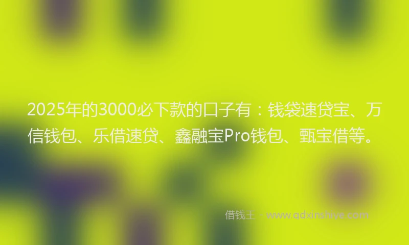 2025年的3000必下款的口子有：钱袋速贷宝、万信钱包、乐借速贷、鑫融宝Pro钱包、甄宝借等。