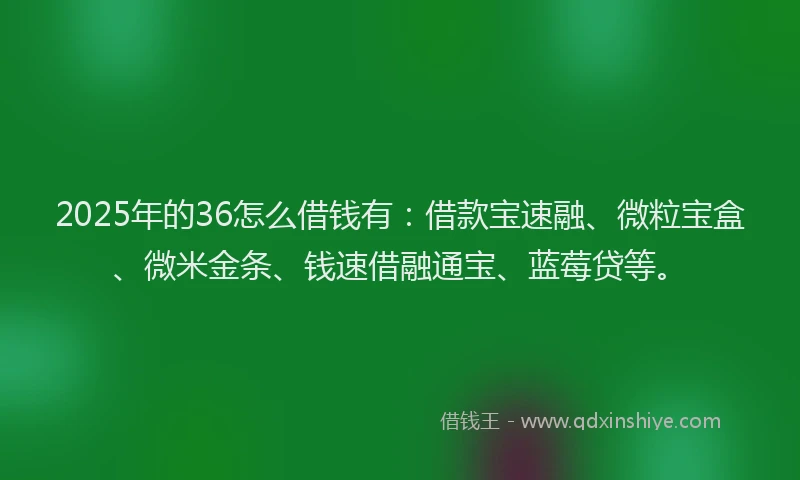 2025年的36怎么借钱有：借款宝速融、微粒宝盒、微米金条、钱速借融通宝、蓝莓贷等。