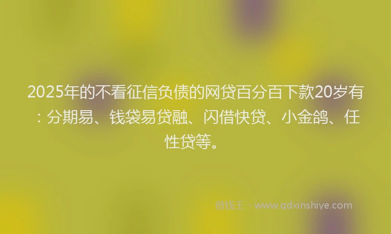 2025年的不看征信负债的网贷百分百下款20岁有：分期易、钱袋易贷融、闪借快贷、小金鸽、任性贷等。