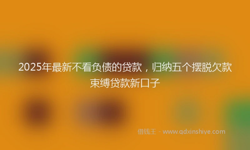 2025年最新不看负债的贷款，归纳五个摆脱欠款束缚贷款新口子