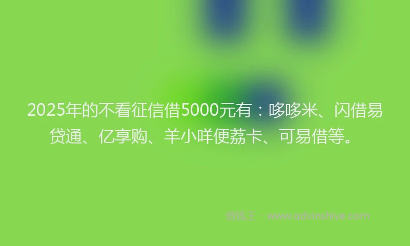 2025年的不看征信借5000元有：哆哆米、闪借易贷通、亿享购、羊小咩便荔卡、可易借等。