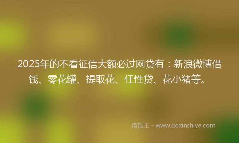 2025年的不看征信大额必过网贷有：新浪微博借钱、零花罐、提取花、任性贷、花小猪等。
