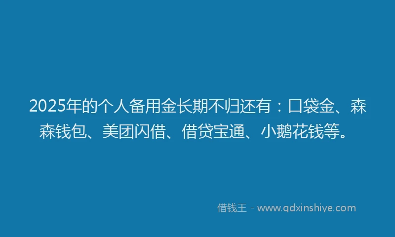 2025年的个人备用金长期不归还有：口袋金、森森钱包、美团闪借、借贷宝通、小鹅花钱等。