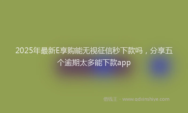 2025年最新E享购能无视征信秒下款吗，分享五个逾期太多能下款app