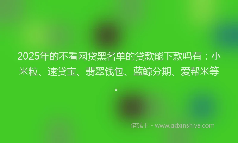 2025年的不看网贷黑名单的贷款能下款吗有：小米粒、速贷宝、翡翠钱包、蓝鲸分期、爱帮米等。