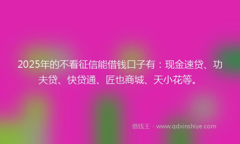 2025年的不看征信能借钱口子有：现金速贷、功夫贷、快贷通、匠也商城、天小花等。
