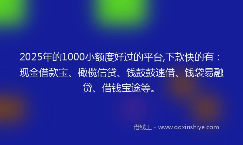 2025年的1000小额度好过的平台,下款快的有：现金借款宝、橄榄信贷、钱鼓鼓速借、钱袋易融贷、借钱宝途等。