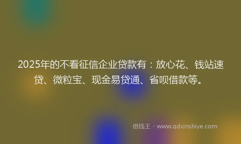 2025年的不看征信企业贷款有：放心花、钱站速贷、微粒宝、现金易贷通、省呗借款等。