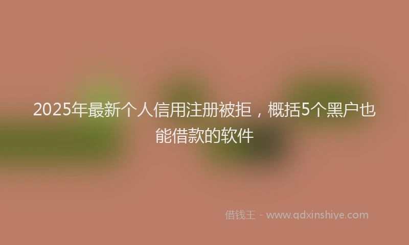 2025年最新个人信用注册被拒，概括5个黑户也能借款的软件