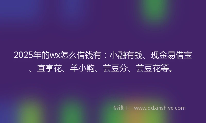 2025年的wx怎么借钱有：小融有钱、现金易借宝、宜享花、羊小购、芸豆分、芸豆花等。