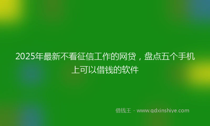 2025年最新不看征信工作的网贷，盘点五个手机上可以借钱的软件