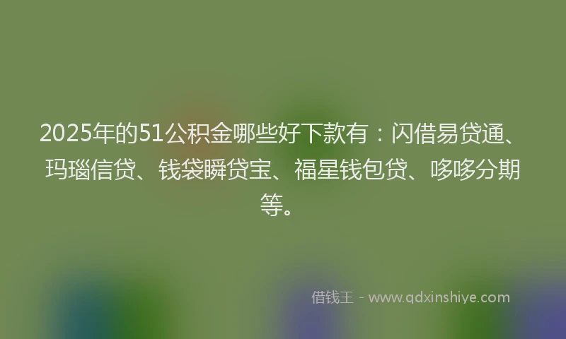 2025年的51公积金哪些好下款有：闪借易贷通、玛瑙信贷、钱袋瞬贷宝、福星钱包贷、哆哆分期等。