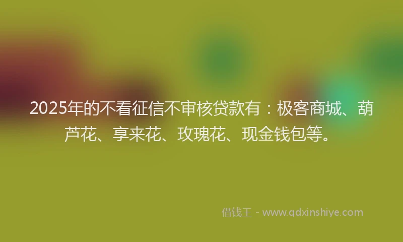 2025年的不看征信不审核贷款有：极客商城、葫芦花、享来花、玫瑰花、现金钱包等。