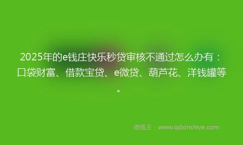 2025年的e钱庄快乐秒贷审核不通过怎么办有：口袋财富、借款宝贷、e微贷、葫芦花、洋钱罐等。