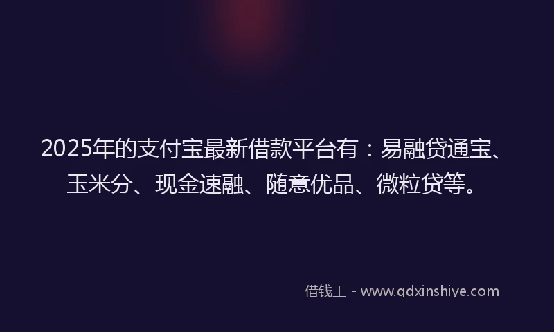 2025年的支付宝最新借款平台有：易融贷通宝、玉米分、现金速融、随意优品、微粒贷等。