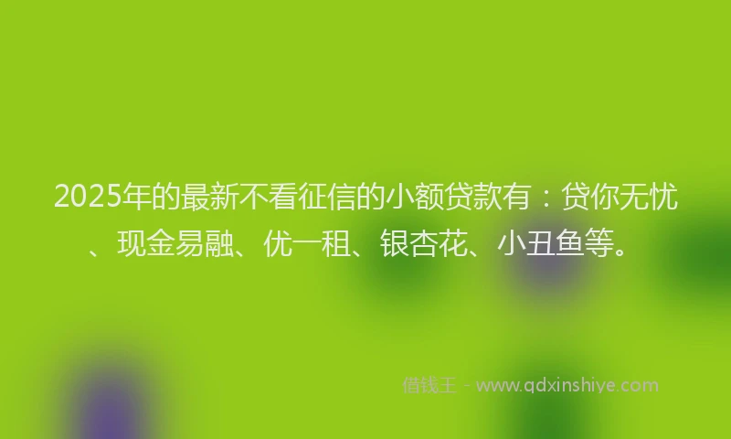2025年的最新不看征信的小额贷款有：贷你无忧、现金易融、优一租、银杏花、小丑鱼等。