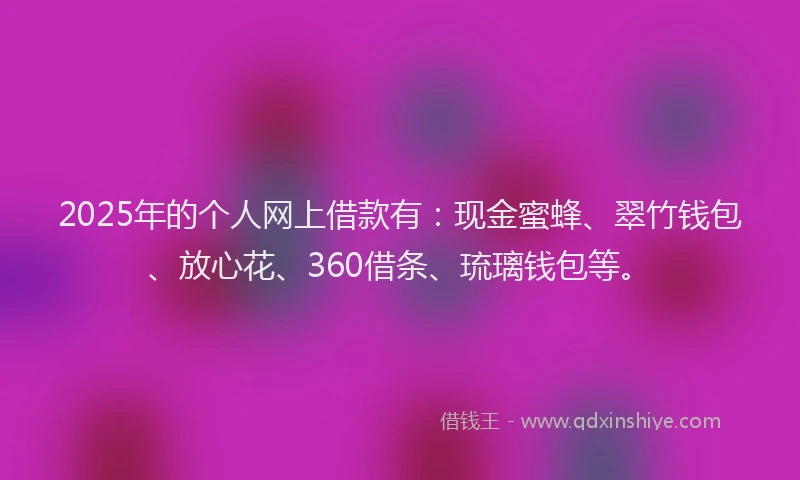 2025年的个人网上借款有：现金蜜蜂、翠竹钱包、放心花、360借条、琉璃钱包等。