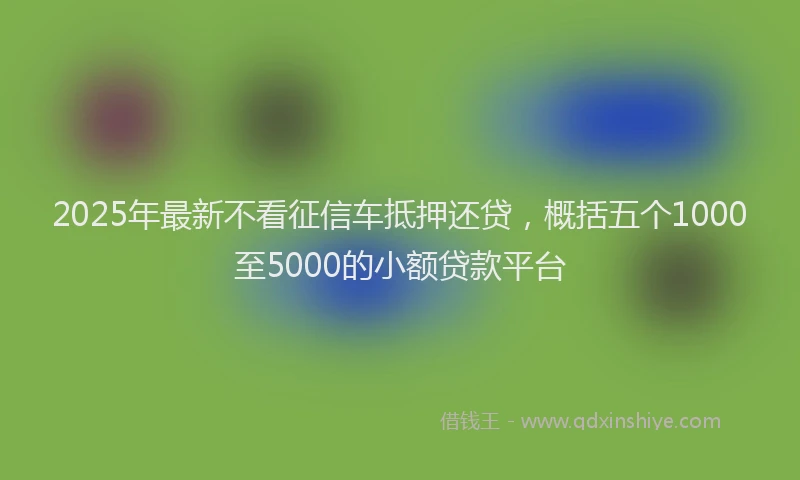 2025年最新不看征信车抵押还贷，概括五个1000至5000的小额贷款平台