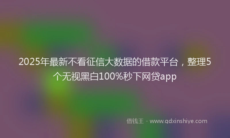 2025年最新不看征信大数据的借款平台，整理5个无视黑白100%秒下网贷app