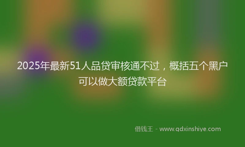 2025年最新51人品贷审核通不过，概括五个黑户可以做大额贷款平台