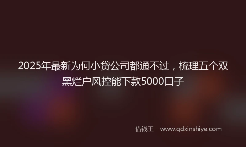 2025年最新为何小贷公司都通不过，梳理五个双黑烂户风控能下款5000口子