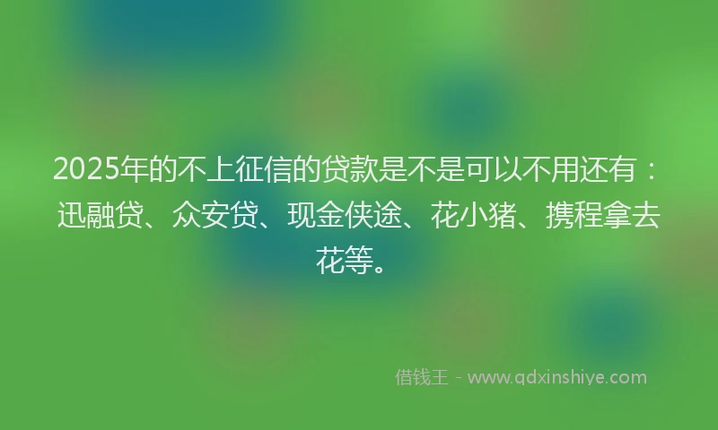 2025年的不上征信的贷款是不是可以不用还有：迅融贷、众安贷、现金侠途、花小猪、携程拿去花等。