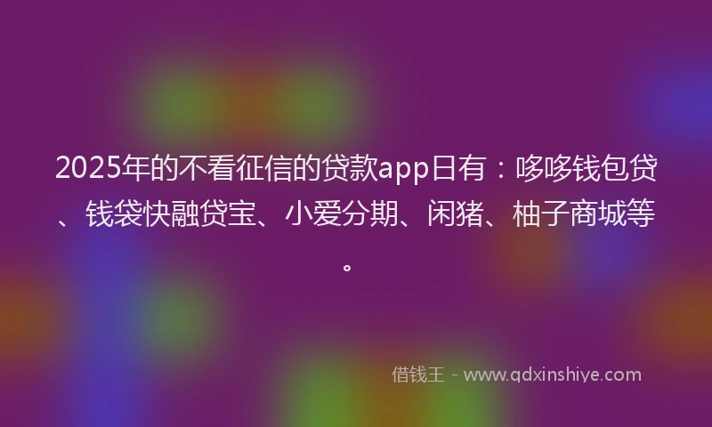 2025年的不看征信的贷款app日有：哆哆钱包贷、钱袋快融贷宝、小爱分期、闲猪、柚子商城等。