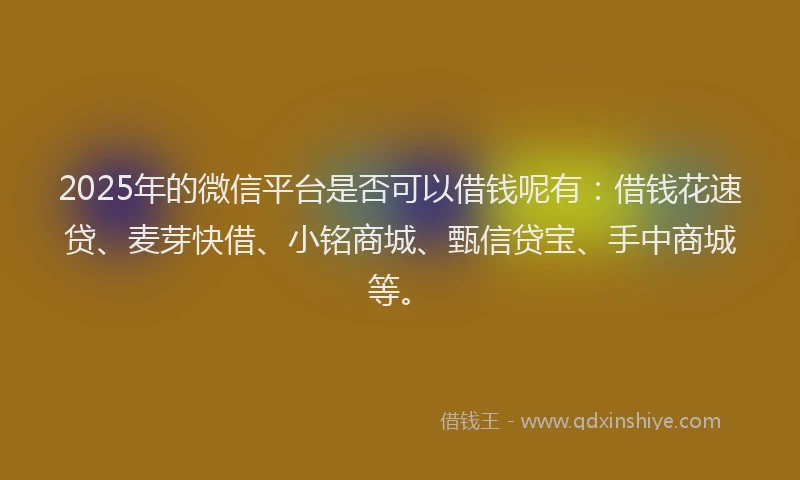 2025年的微信平台是否可以借钱呢有：借钱花速贷、麦芽快借、小铭商城、甄信贷宝、手中商城等。