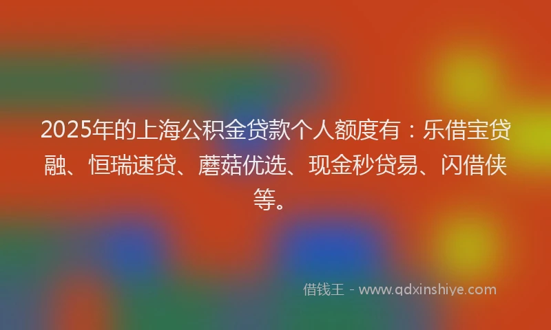 2025年的上海公积金贷款个人额度有：乐借宝贷融、恒瑞速贷、蘑菇优选、现金秒贷易、闪借侠等。