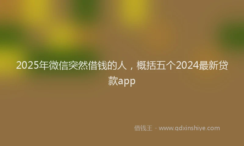 2025年微信突然借钱的人，概括五个2024最新贷款app