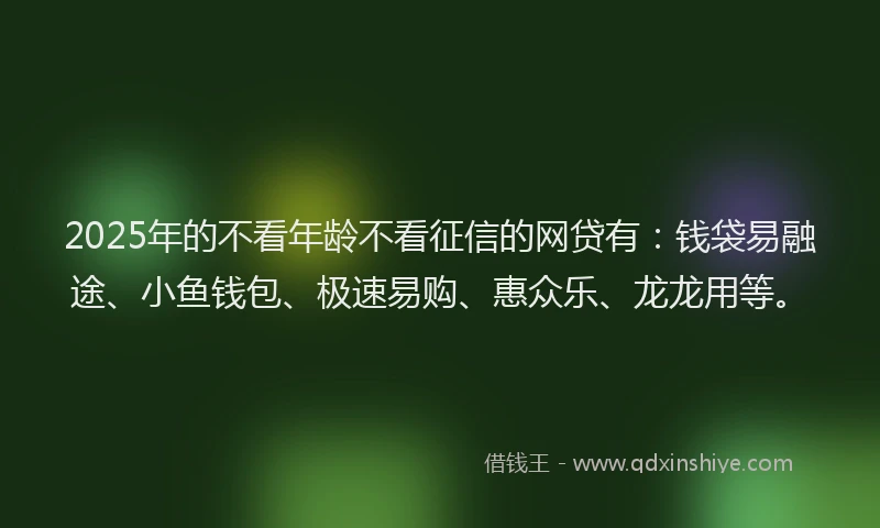 2025年的不看年龄不看征信的网贷有：钱袋易融途、小鱼钱包、极速易购、惠众乐、龙龙用等。