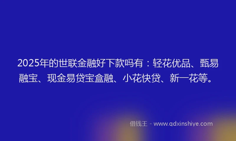 2025年的世联金融好下款吗有：轻花优品、甄易融宝、现金易贷宝盒融、小花快贷、新一花等。